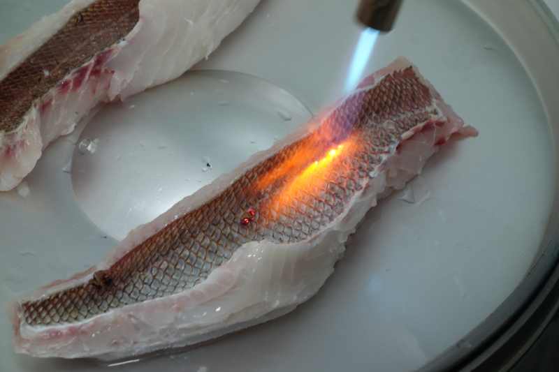 f:id:blog-media:20161121094007j:plain f:id:blog-media:20161121094007j:plain