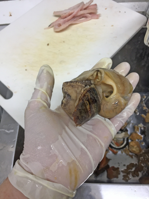 f:id:blog-media:20161121094013j:plain f:id:blog-media:20161121094013j:plain