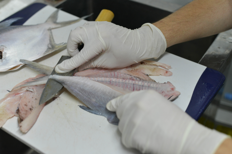 f:id:blog-media:20161121094044j:plain f:id:blog-media:20161121094044j:plain