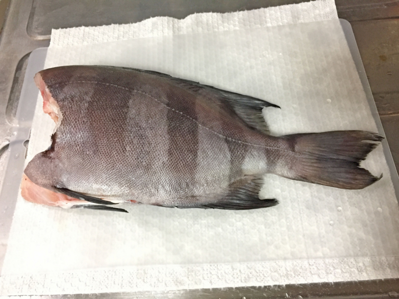 f:id:blog-media:20161121094054j:plain f:id:blog-media:20161121094054j:plain