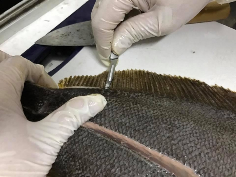 f:id:blog-media:20161121094154j:plain f:id:blog-media:20161121094154j:plain