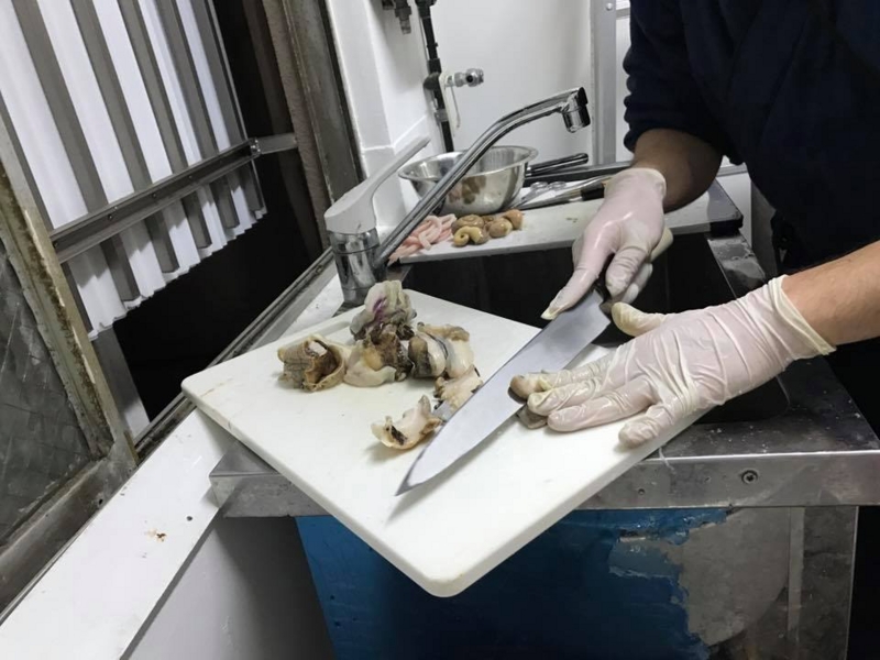 f:id:blog-media:20161121094205j:plain f:id:blog-media:20161121094205j:plain