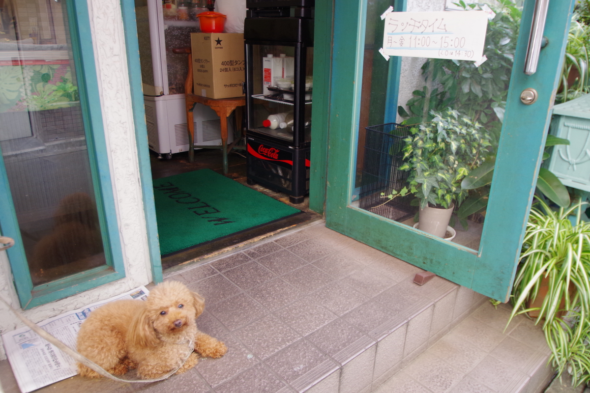 カレー屋の犬
