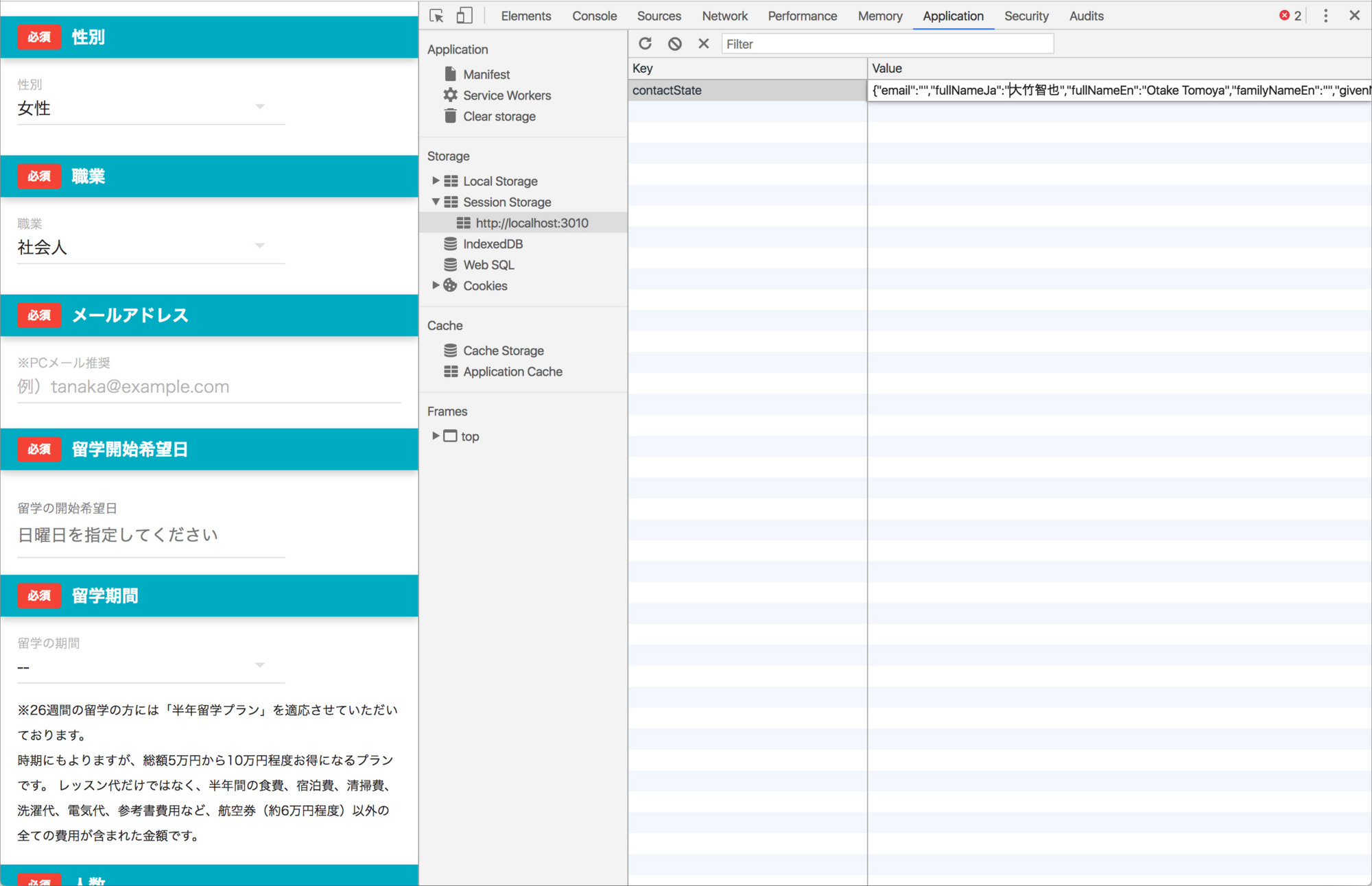 Applicationパネル