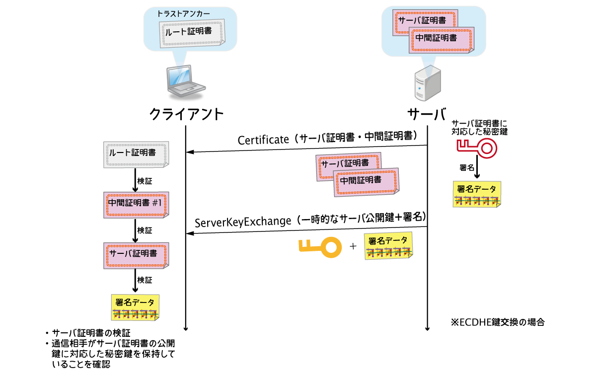 TLS Server Authentication