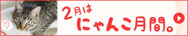 【楽天市場】2月はにゃんこ月間。
