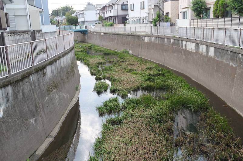 f:id:blog-media:20180903184755j:plain