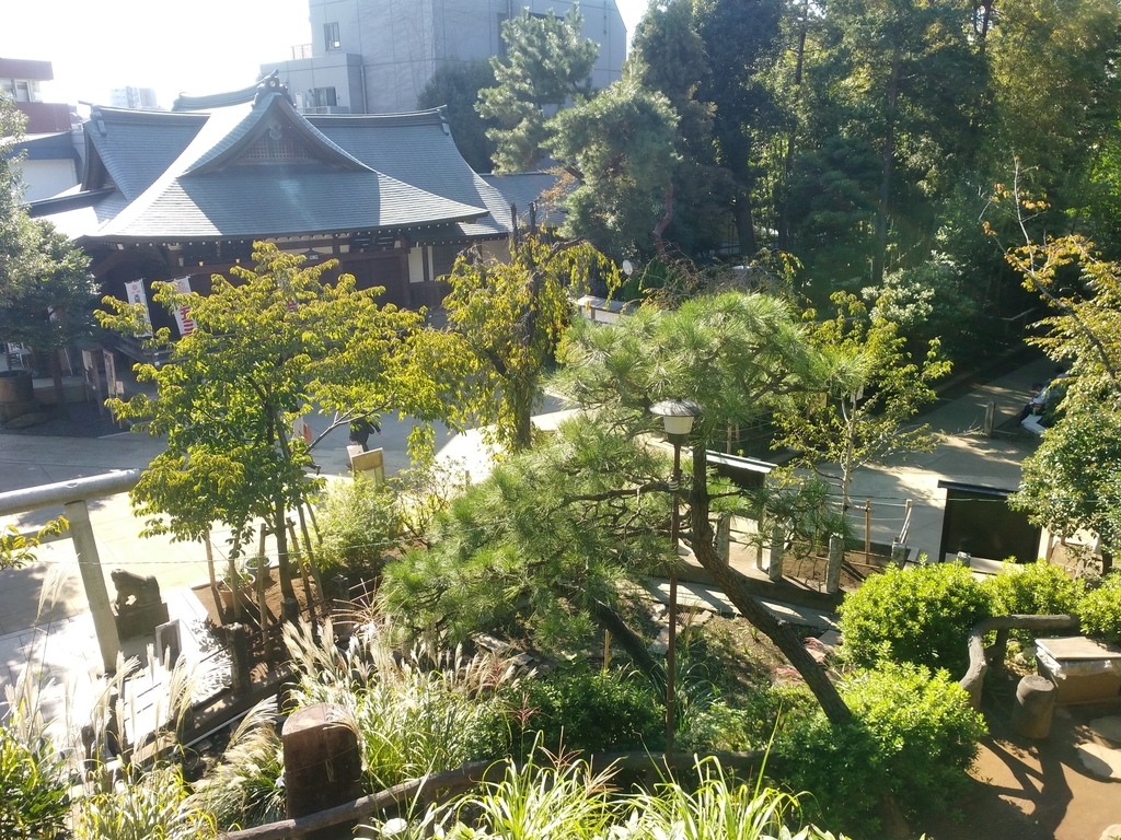 f:id:blog-media:20181119220921j:plain