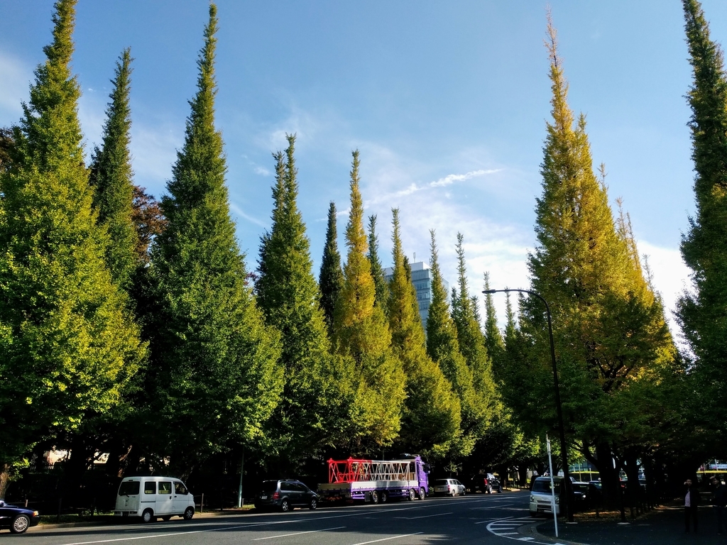 f:id:blog-media:20181119221013j:plain