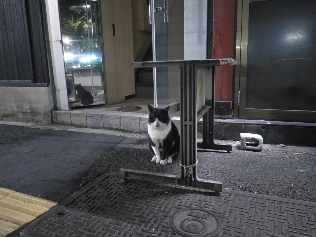 f:id:blog-media:20181119221205j:plain