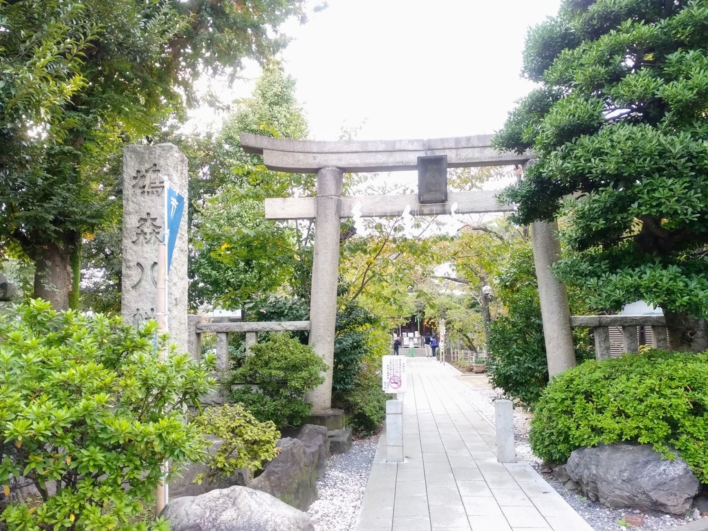 f:id:blog-media:20181119221307j:plain