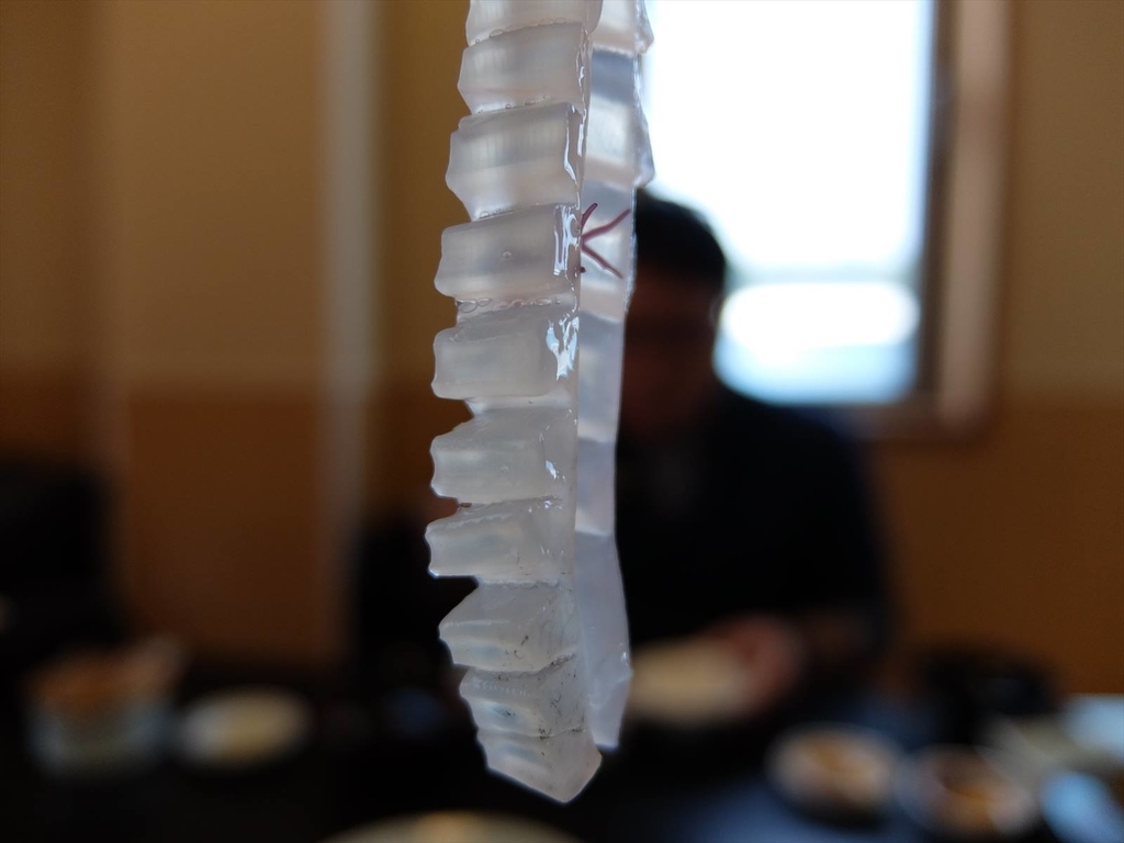 イカ