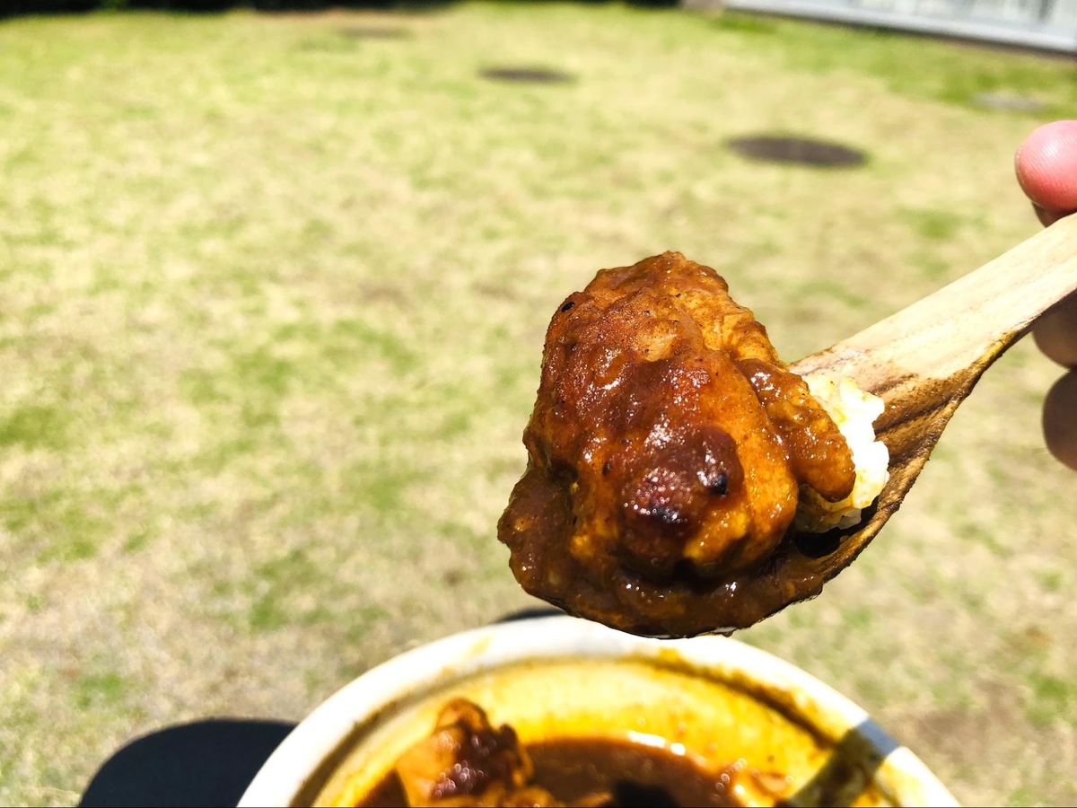 外で食べるごろごろ煮込みチキンカレー
