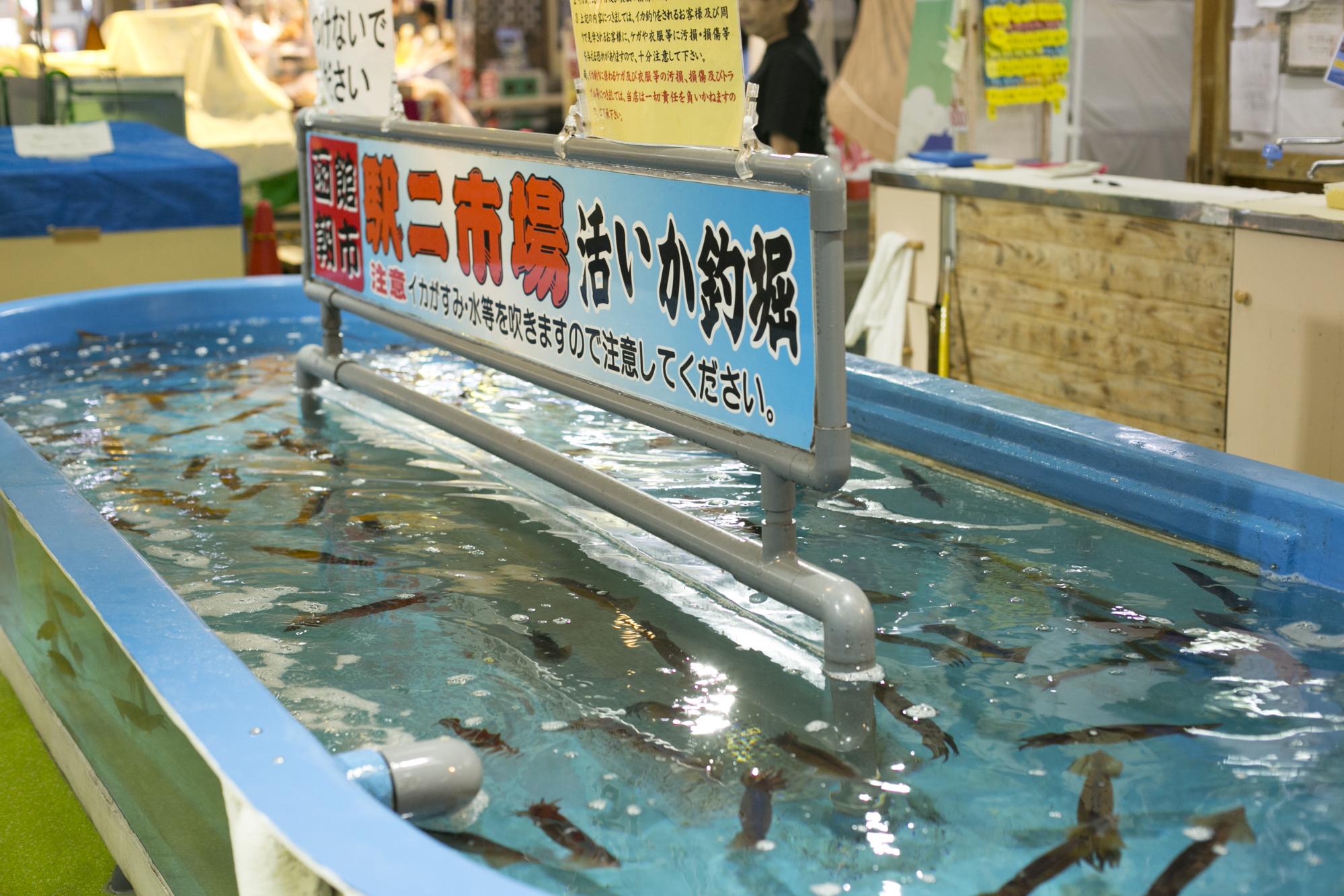 函館にイカマニアが潜入 イカだけに絞ってイカを楽しみ尽くす イカだらけのイカした旅をしてきた Yorimichi Airdo 旅のよりみちをお手伝い