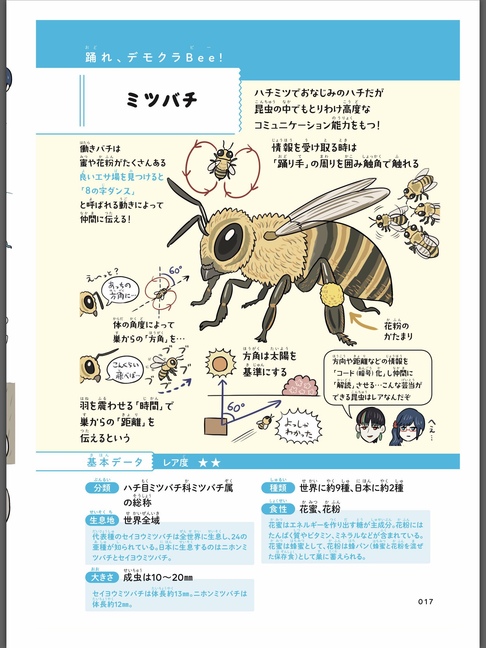 f:id:blog-media:20190805142113j:plain ミツバチ図解