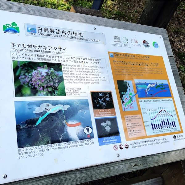 f:id:blog-media:20190930204354j:plain f:id:blog-media:20190930204354j:plain