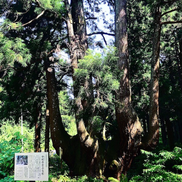 f:id:blog-media:20190930204421j:plain f:id:blog-media:20190930204421j:plain