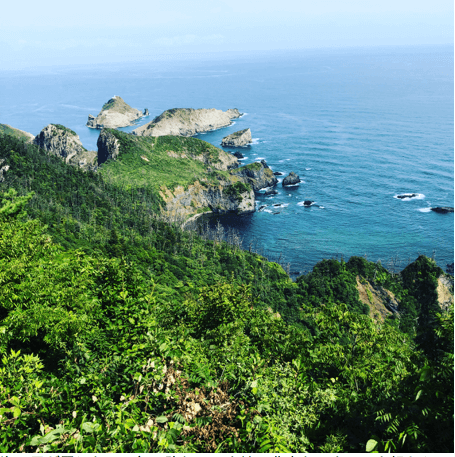 f:id:blog-media:20190930204441p:plain:w500 f:id:blog-media:20190930204441p:plain:w500