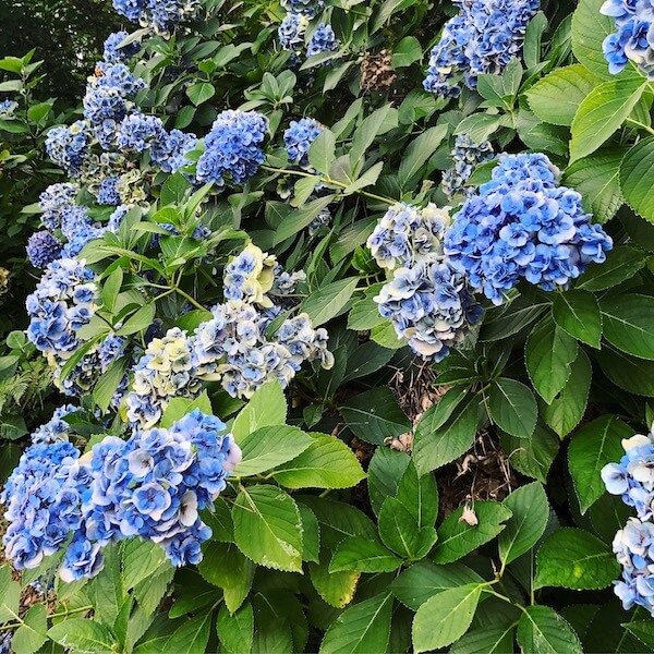 f:id:blog-media:20190930204501j:plain f:id:blog-media:20190930204501j:plain