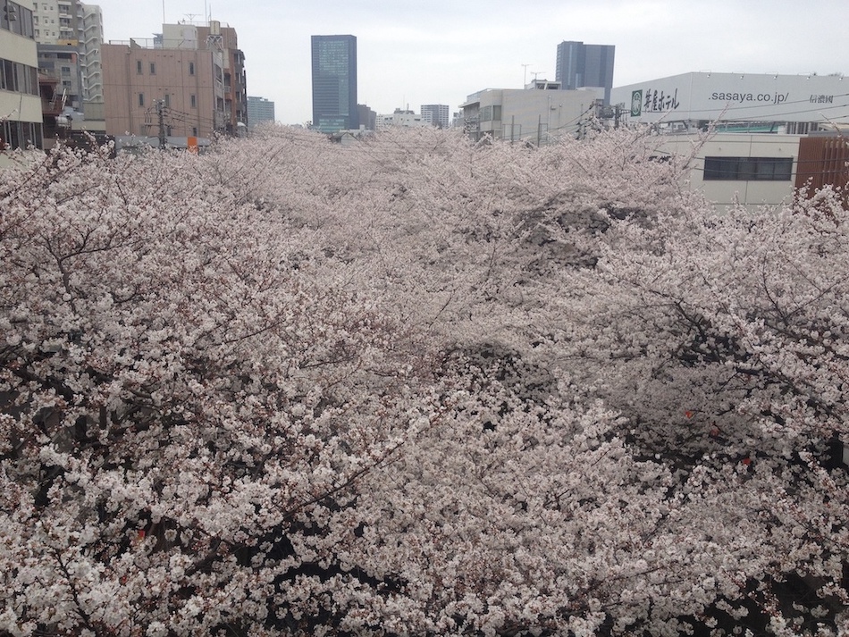 f:id:blog-media:20191030103802j:plain f:id:blog-media:20191030103802j:plain