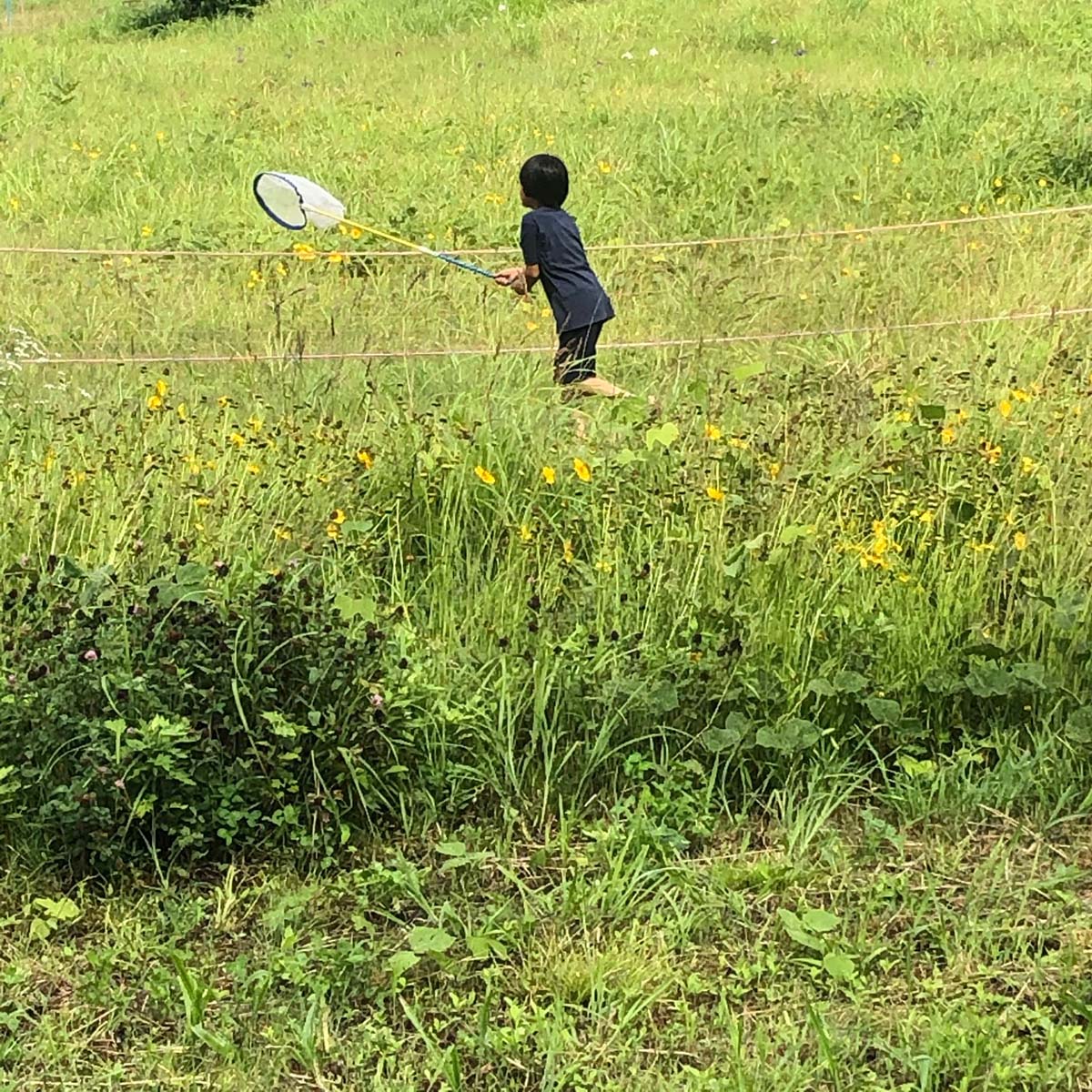 一人っ子はかわいそう 私たち夫婦が迷いながらも 二人目は持たない と決めた理由 りっすん By イーアイデム はたらく気分を転換させる深呼吸マガジン 一人っ子はかわいそう 私たち夫婦が迷いながらも 二人目は持たない と決めた理由 りっすん By イーアイデム はたらく気分を転換させる深呼吸マガジン