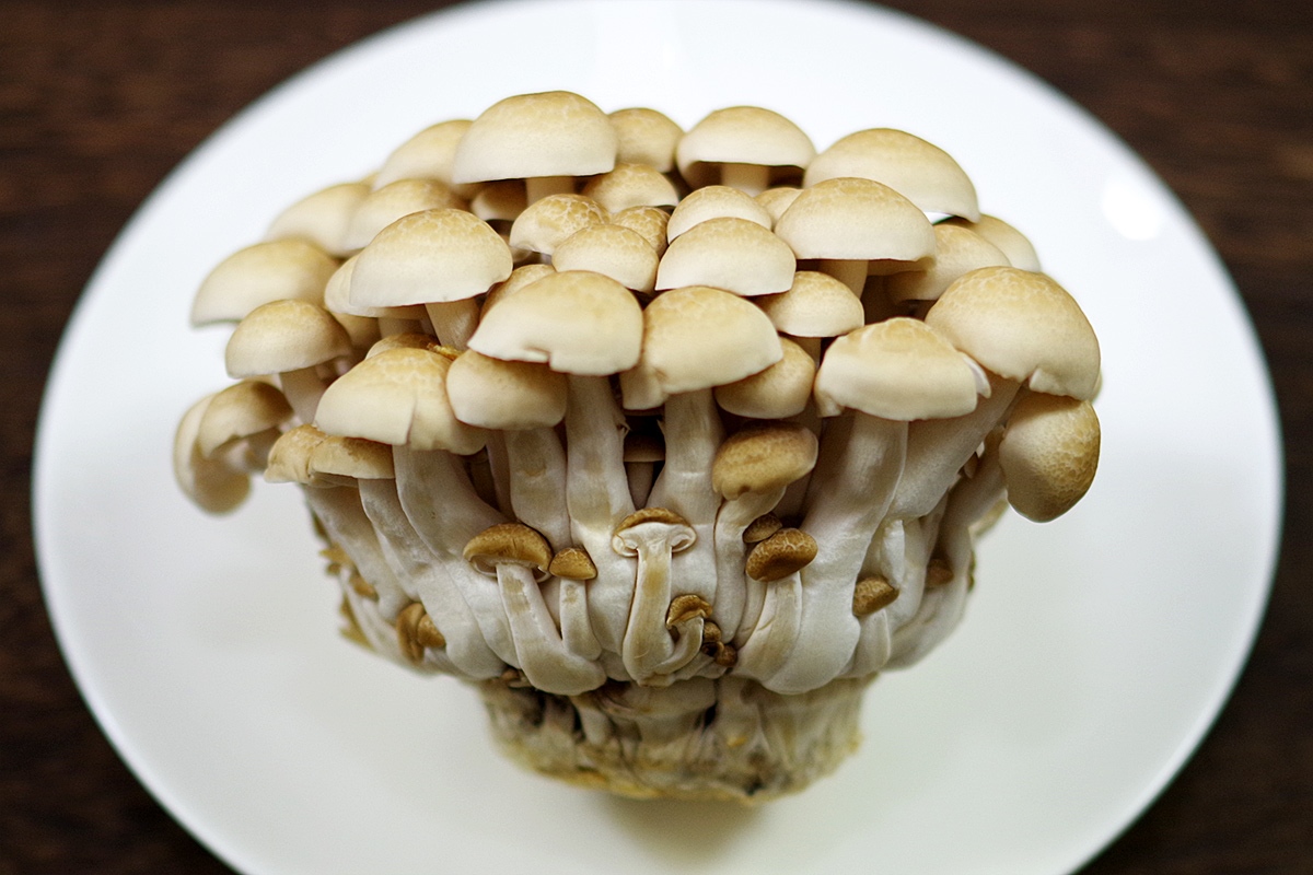 市場 ぶなしめじ 白 別称 ブナピー1パック