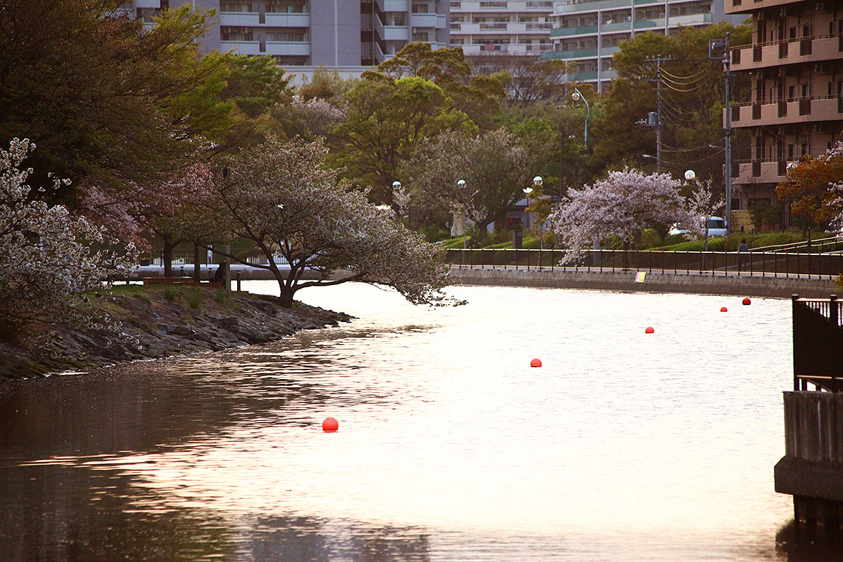 新左近川親水公園