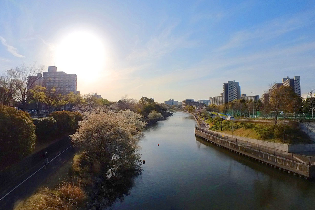 新左近川親水公園