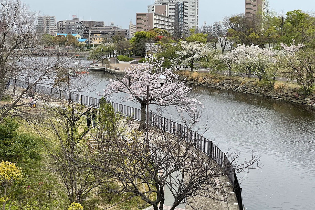 新左近川親水公園