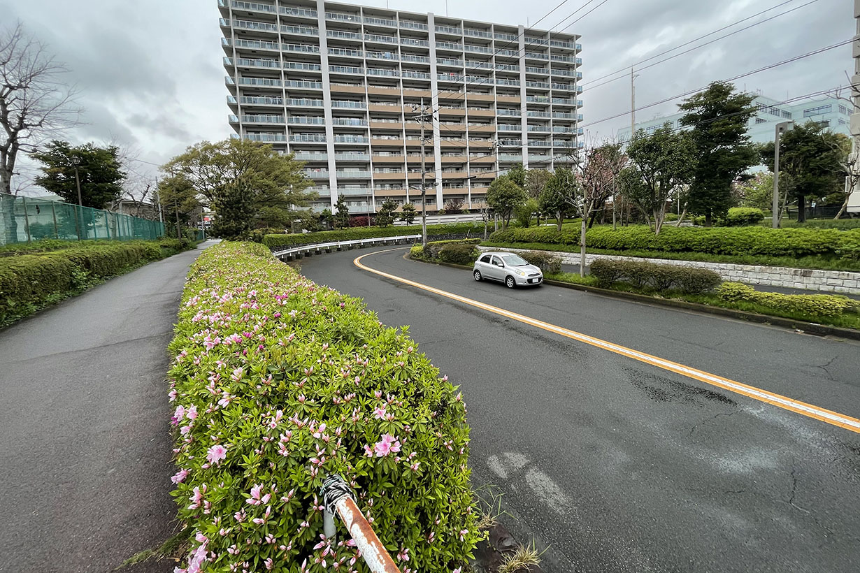 堤防の痕跡