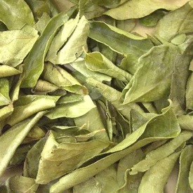 「カレーリーフ」を詳しく見る