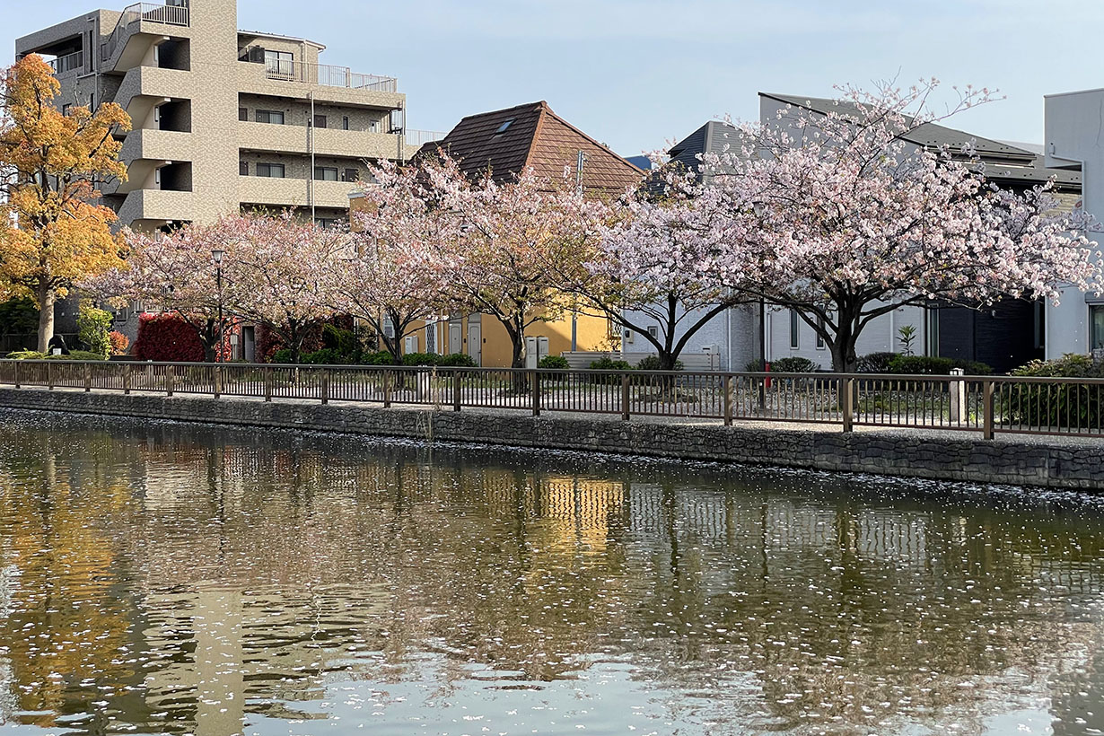 葛西の川