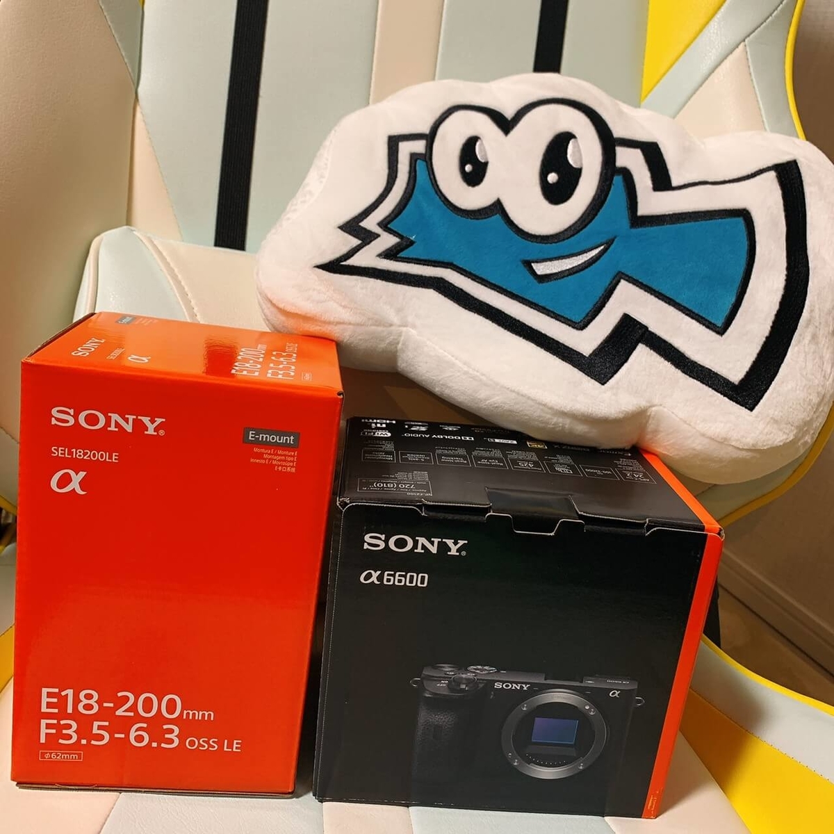 α6600 α6600