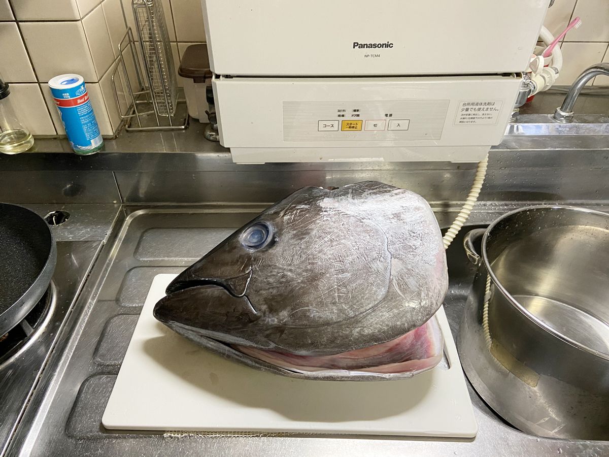 楽天で買ったクロマグロの頭