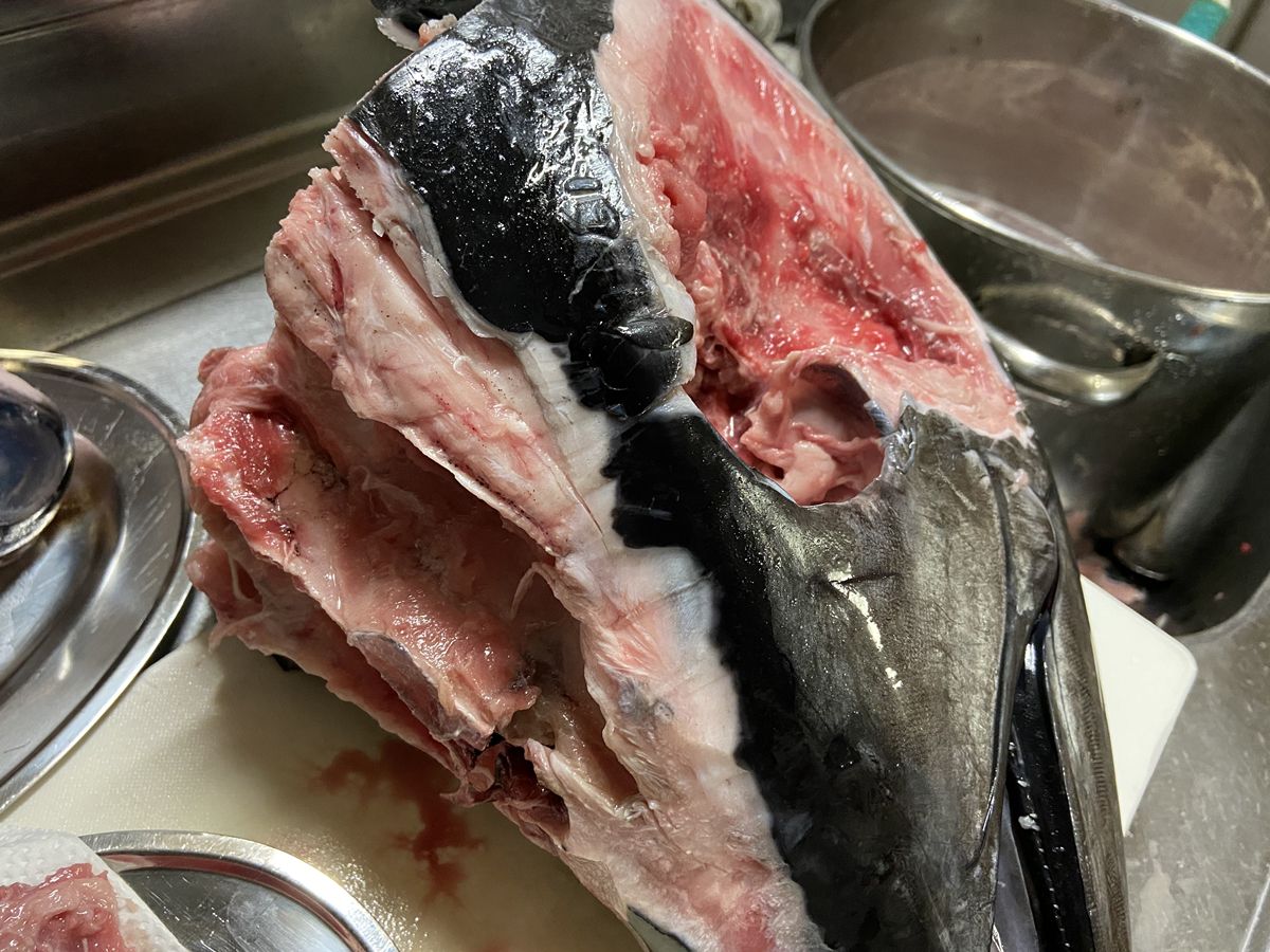 クロマグロの頭から食べられる部分を外す