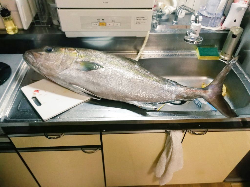 サッポロ一番 は魚の出汁で作る それがおれのルール 研究活動報告 ソレドコ