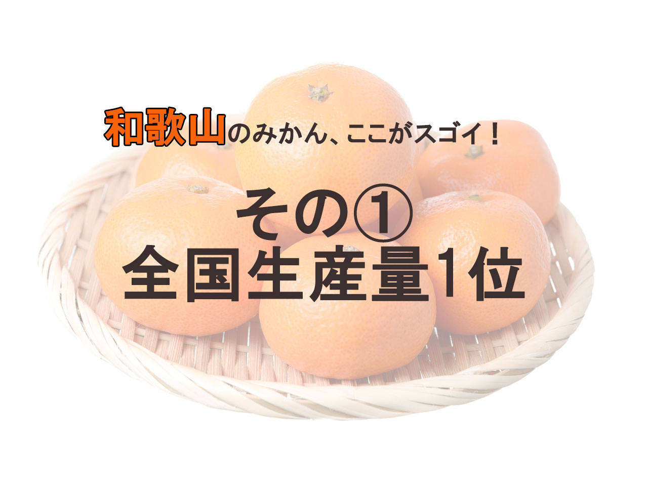 【愛媛VS和歌山】真の「みかん王国」はどっちだ！？ プレゼンバトル