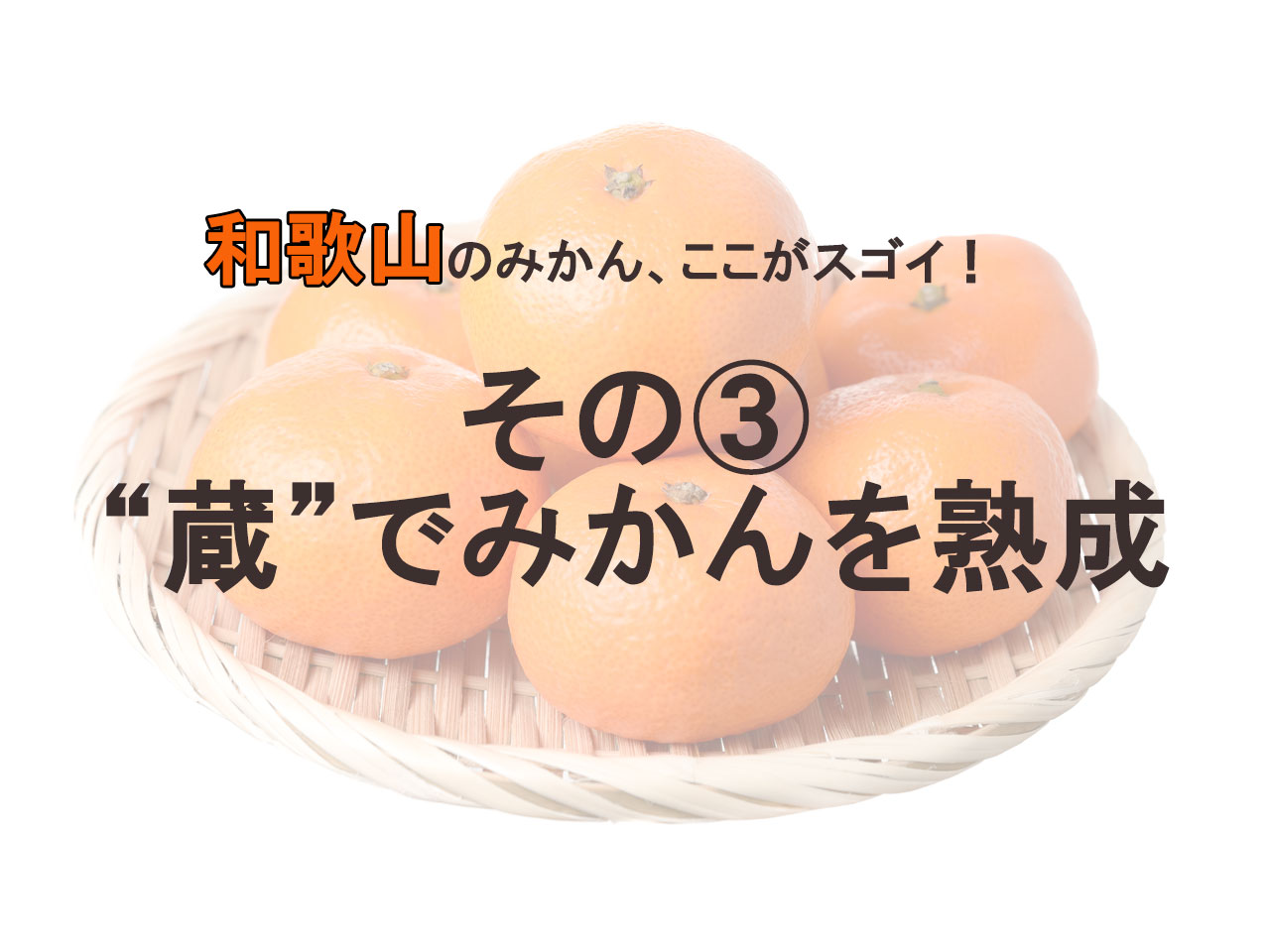 【愛媛VS和歌山】真の「みかん王国」はどっちだ！？ プレゼンバトル