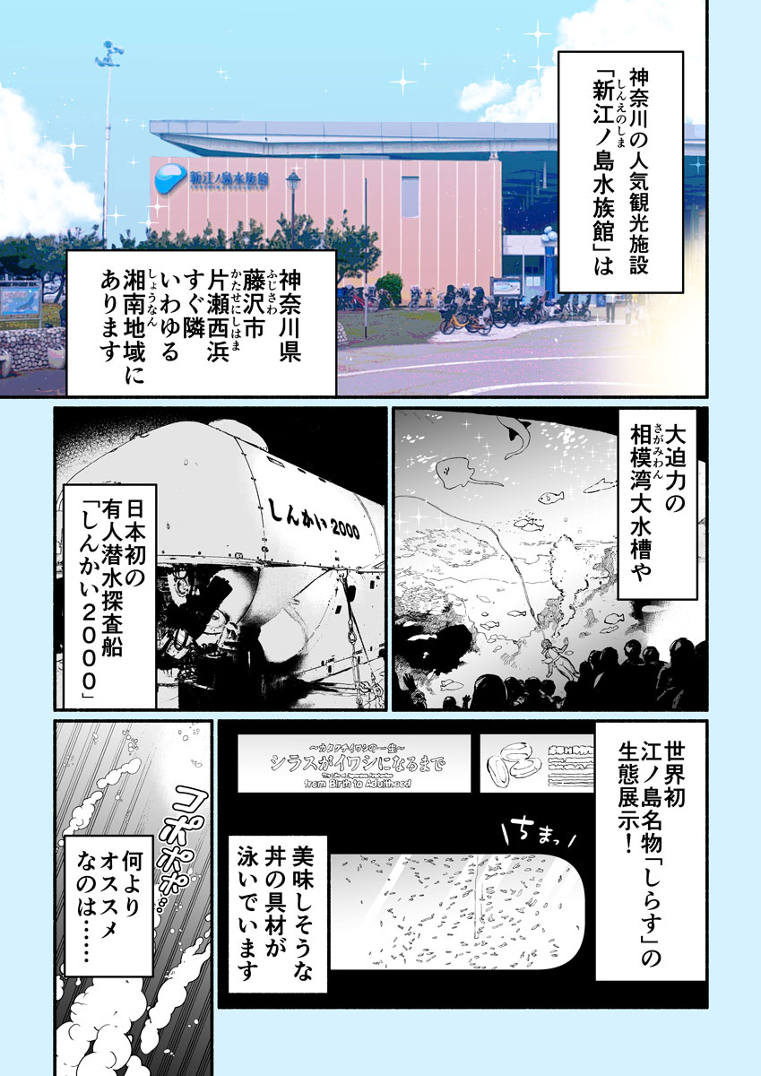 神奈川県の湘南地域に位置する「新江ノ島水族館（えのすい）」。神奈川県内の有名な観光スポットです