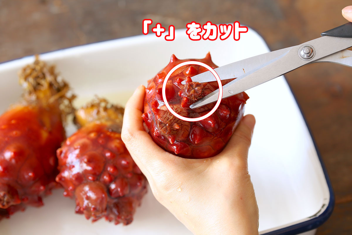 夏が旬のホヤ 刺身以外もおいしいんです 旨味を引き出すレシピ3つ ソレドコ