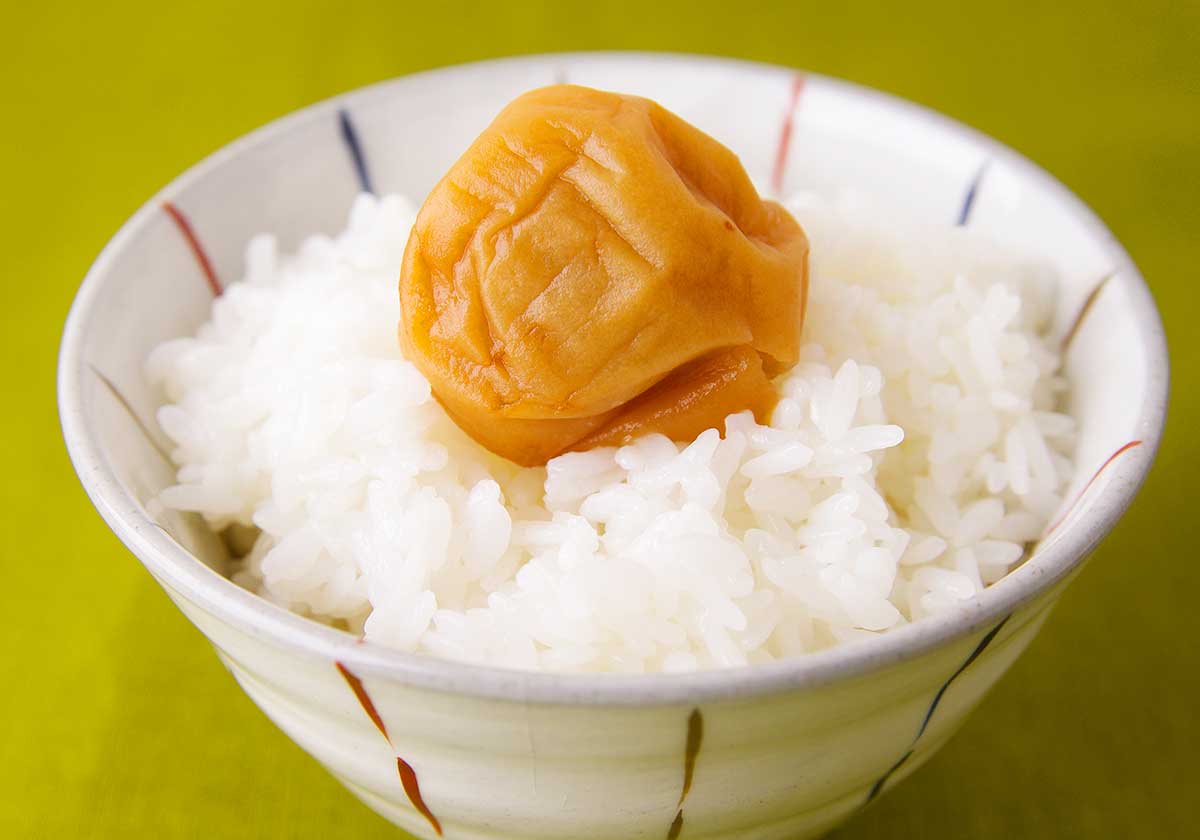 和歌山県：不動のうめ うす塩味（不動農園）