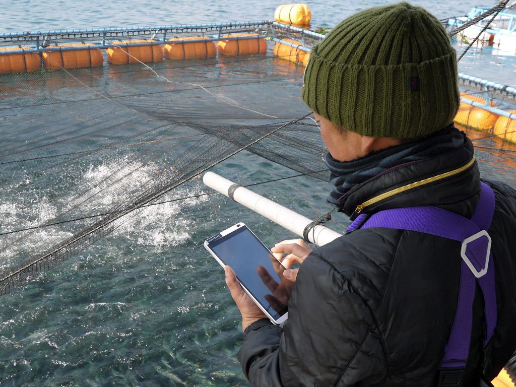 ちなみに、養殖漁場の管理はデータ化。エサの種類や量、水温などを漁業者がタブレットに入力し、それを漁協がクラウド管理しています（東町漁協提供）