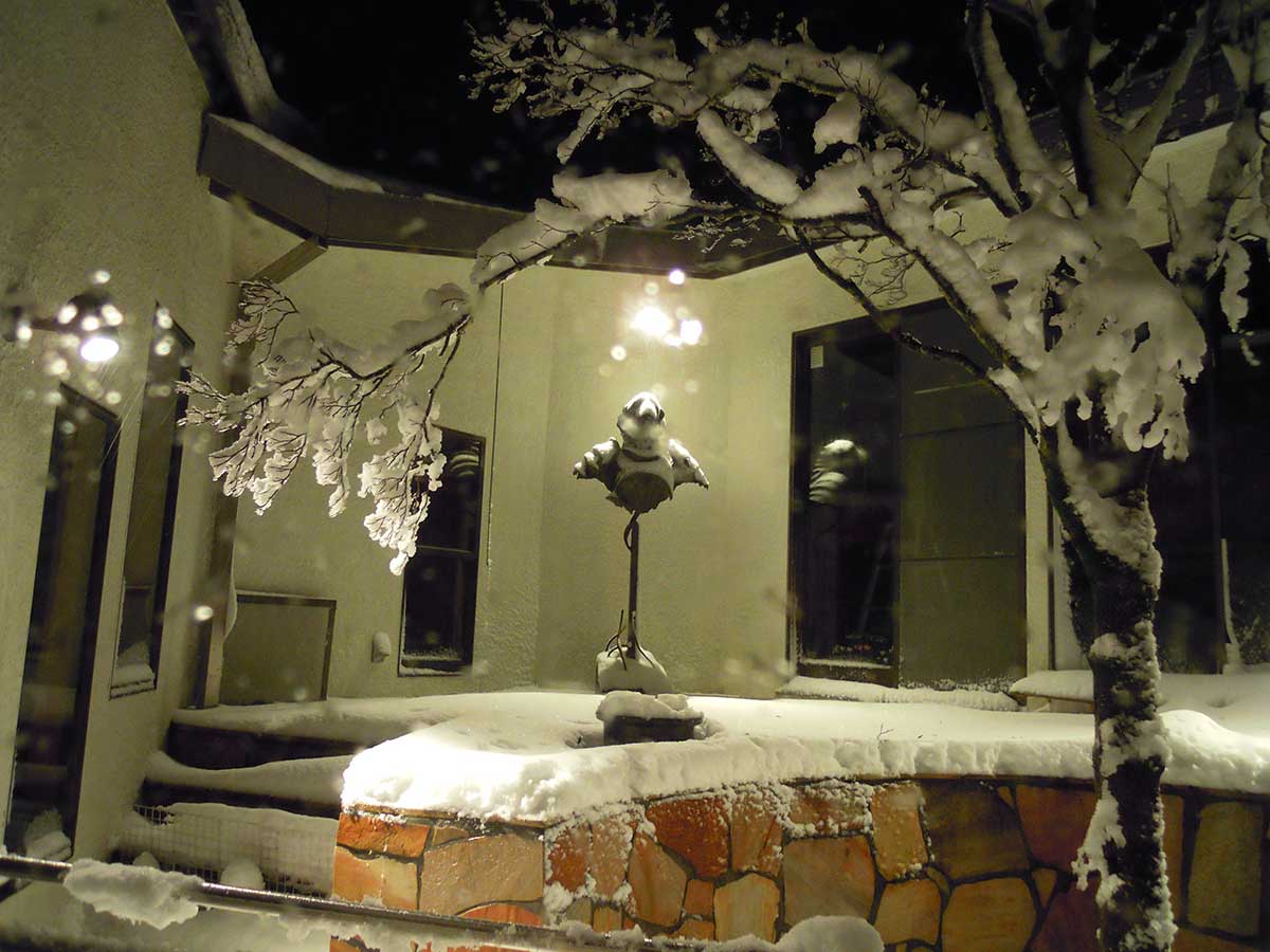 雪が積もった様子