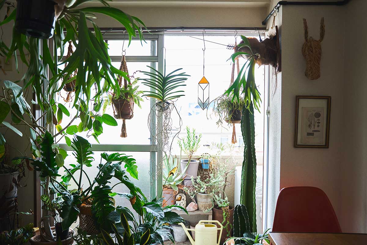 ベランダの開口部周りにも植物を