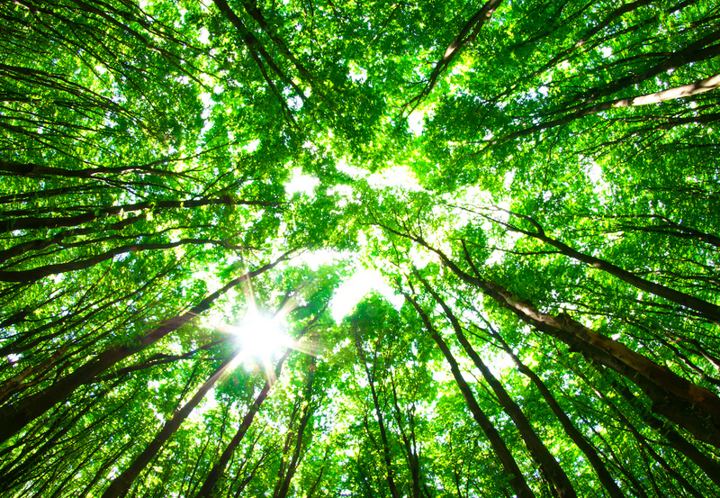 碇雪恵さん記事中イメージ写真