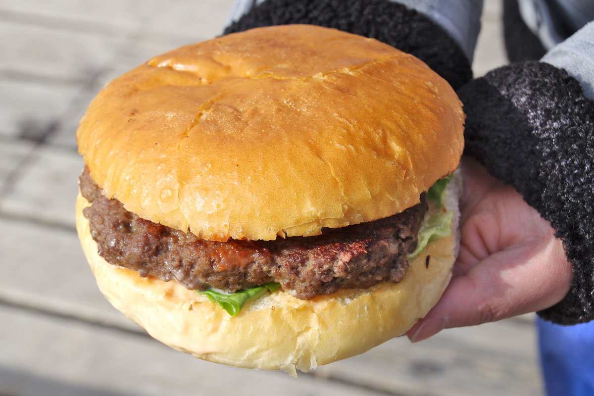 房総半島南部の穴場ドライブスポット_ビンゴバーガー