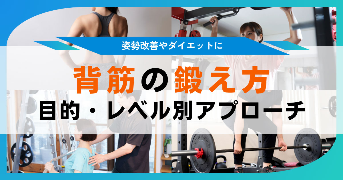 背筋の鍛え方、広背筋や僧帽筋の筋トレとは？背中の筋肉を鍛えるトレーニング