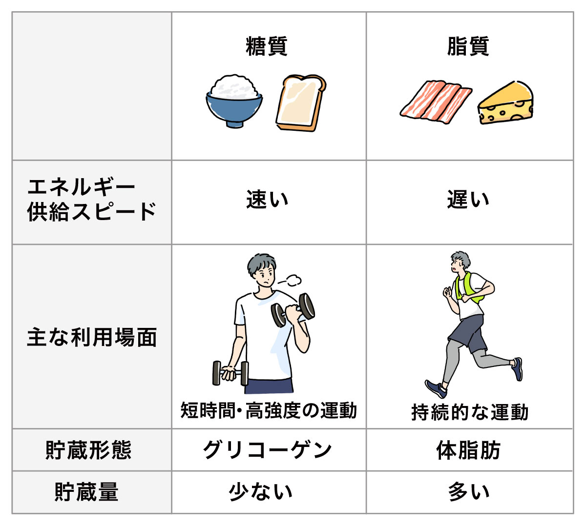 脂質と糖質の違い