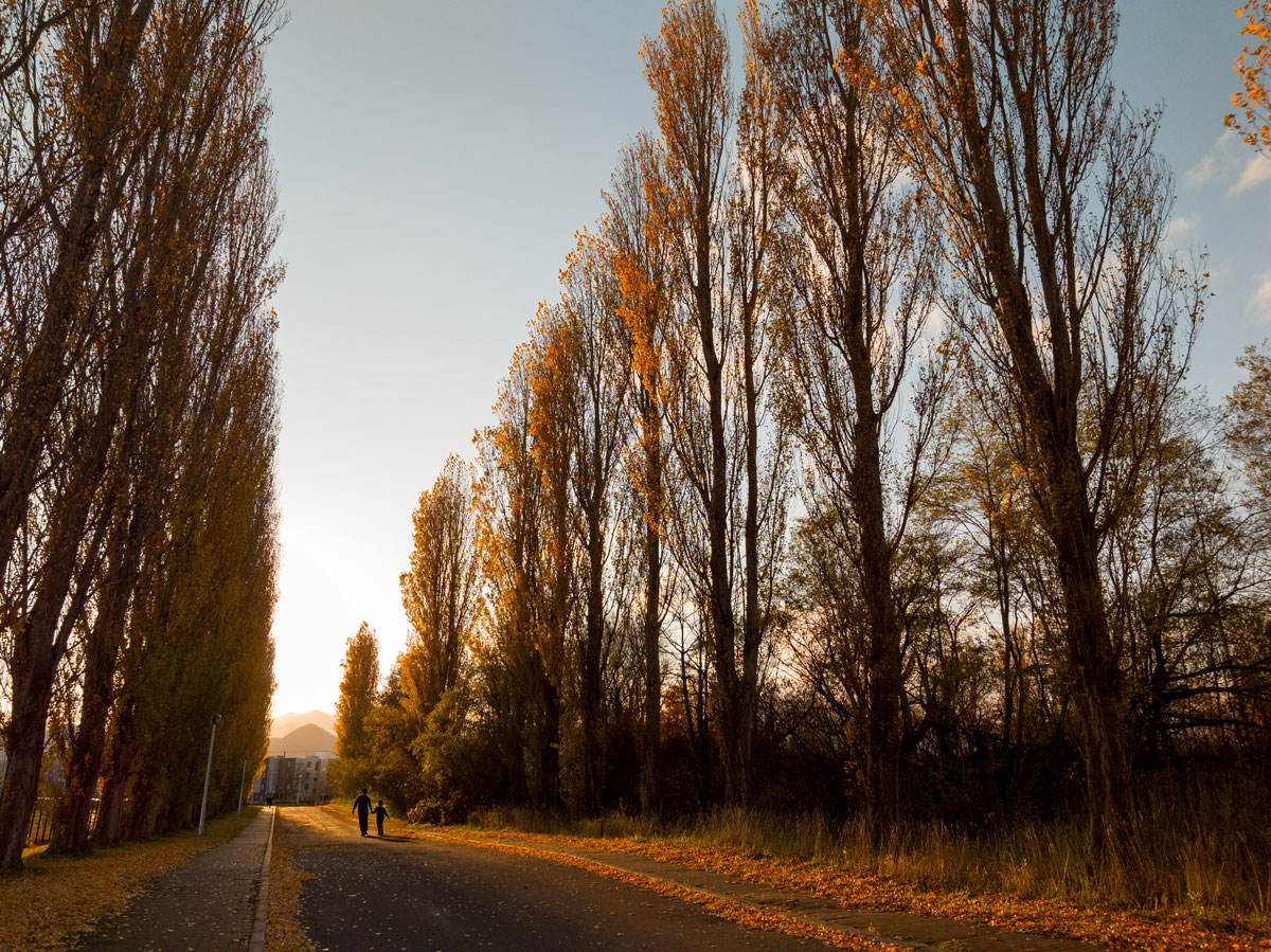 ããã³ããã§çæãã人ç©ãå ãã¦ã¤ã¡ã¼ã¸ããæ
æ¯ãåç¾