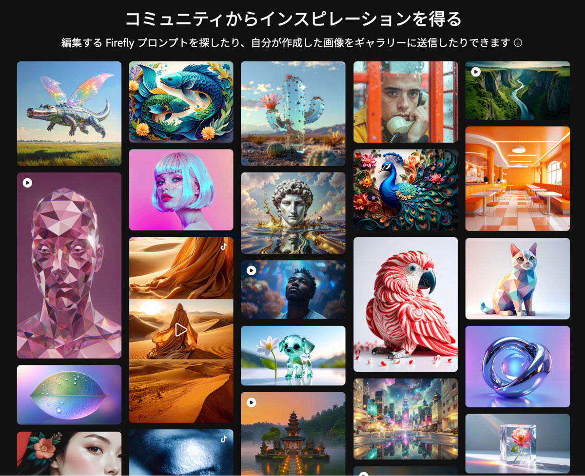 ギャラリー